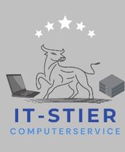 IT-Stier Logo
