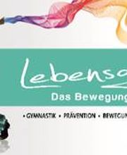 Lebensgefühl- das Bewegungsstudio Logo
