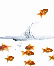 text | texter | textpower