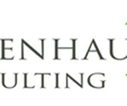 Nabenhauer Consulting GmbH Logo