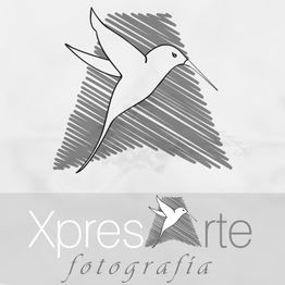 Logo de XpresArte Fotografía con un colibrí estilizado sobre un fondo gris rayado.