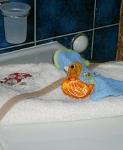 Bad - und Bettwäsche