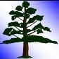 Albero stilizzato su sfondo sfumato blu e bianco.