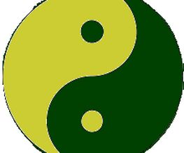 Heilpraxis der Natur Logo