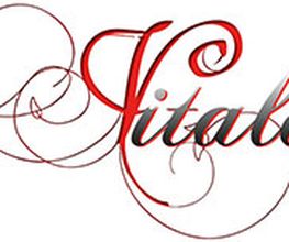 Vitalo UG Logo