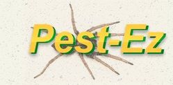 Text "Pest-Ez" over a spider on a white background.