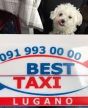 Ein kleiner weißer Hund hinter einem Schild mit der Aufschrift "BEST TAXI LUGANO".
