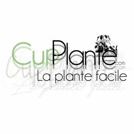 Logo CupPlante.com, texte vert et noir, slogan "La plante facile" avec dessin de plante.