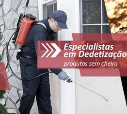 Homem dedetizando casa, com texto: "Especialistas em Dedetização - produtos sem cheiro".