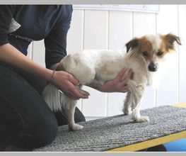 Physiotherapie Muskelaufbau