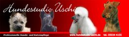 Vier Hunde auf rotem Hintergrund mit Schriftzug "Hundestudio Uschi" und Kontaktdaten.