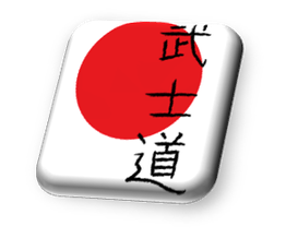 Taste mit roter Sonne und japanischen Schriftzeichen auf weißem Hintergrund.