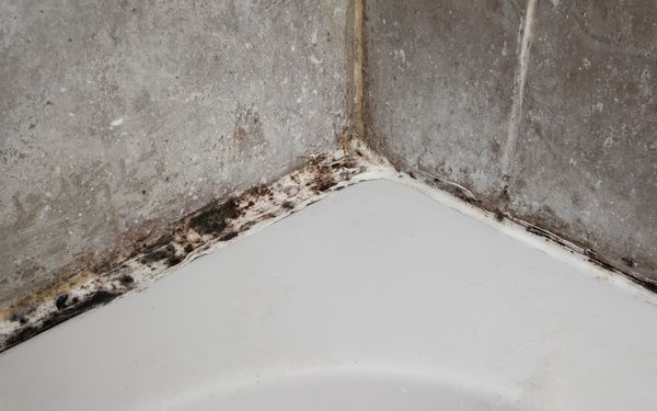 Eine Silikonfuge zwischen einer Duschwanne und der gefliesten Wand, die von schwarzem Schimmel befallen ist.