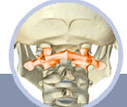 Atlasreflex Logo