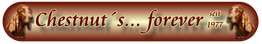 Banner mit der Aufschrift "Chestnut's... forever seit 1977" und zwei Hundebildern.