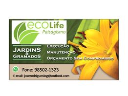 Gráfico da EcoLife Paisagismo com flor amarela, informações de contato e serviços oferecidos.
