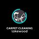 Logo of a person with a cleaning tool, "Carpet Cleaning Lakewood" text beneath.