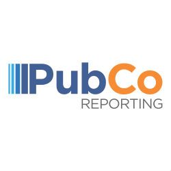 Logo with text: "PubCo REPORTING", featuring blue and orange colors.