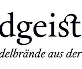 brandgeister.de Logo