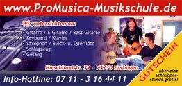 Musikschule-Werbung mit Instrumentenunterricht, Gutschein und Kontaktinformationen.