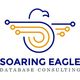 Stylized eagle logo for "Soaring Eagle Database Consulting" with circuit-like wings.
