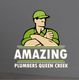 Logo of a plumber in green with text: "Amazing Plumbers Queen Creek."