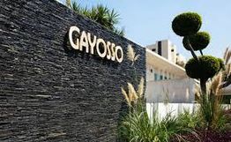Muro de piedra con el letrero "GAYOSSO", rodeado de plantas y arbustos recortados.