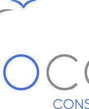 AVOCONS Unternehmensberatung Logo