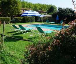 Piscina al aire libre con tumbonas verdes y sombrillas azules, rodeada de árboles y arbustos.
