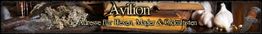 Bücher, Knoblauch und Kräuter mit dem Text: "Avilion - die Adresse für Hexen, Magier & Okkultisten".