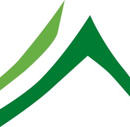 Grünes abstraktes Berg-Symbol mit einem hellgrünen Streifen auf der linken Seite.