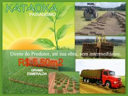 Promoção de grama esmeralda, direto do produtor por R$5,50/m². Imagens de colheita e transporte.
