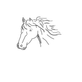 Skizze eines Pferdekopfes mit wehender Mähne, in Schwarz-Weiß gezeichnet.