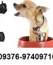 mobile Hundeschule Logo