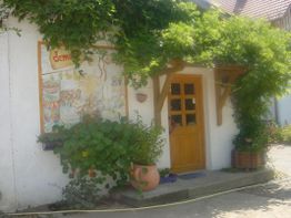 Hausfassade mit Holztür, Wandgemälde, Kletterpflanzen und blühenden Blumen im Topf.