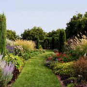 A lush garden path lined with colorful flowers and tall green bushes under a clear blue sky.