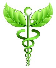 Naturheilkunde Info für Bremen und umzu