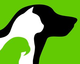 Stilisiertes Profil von Hund, Katze und Kaninchen, ineinander verschlungen, auf grünem Hintergrund.