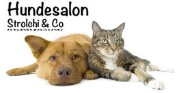 Hund neben Katze, darunter Text "Hundesalon Strolchi & Co".