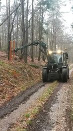 Traktor mit Greifarm auf Waldweg, der einen Baumstamm hebt, umgeben von Herbstlaub.