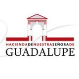 Logotipo de Hacienda de Nuestra Señora de Guadalupe con arco rojo sobre fondo blanco.