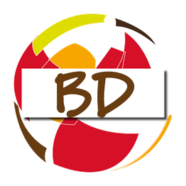 Logo coloré avec les lettres "BD" au centre, entouré de formes rouges, jaunes et marron.