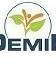 Demir Dienstleistung Logo