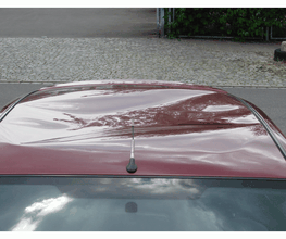 Focus Delle Dach vorher