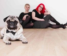 Die Agentur