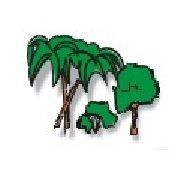 Ilustração de três árvores verdes, uma grande e duas pequenas, em fundo branco.