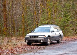 Car parked on a leaf-strewn road with a forested background.