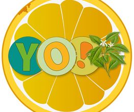 YO! Natur Logo