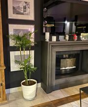 Sala moderna con chimenea, planta en maceta y estantería de madera. Cuadros en la pared.