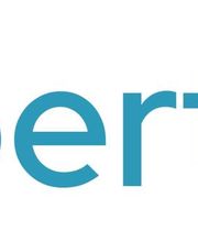 Robert Janus Digitalberatung Logo